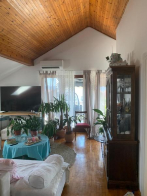 Apartment Danka